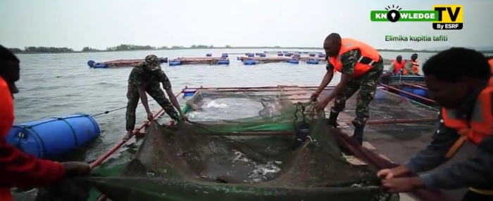 S01E49 - Jifunze Ufugaji wa Samaki kwa Vizimba